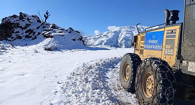 Kulp'ta kar nedeniyle kapanan yollar açıldı