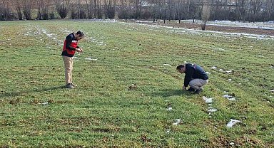 Kütahya'da buğday tohumlarının arazide ekiliş ve çimlenme kontrolleri