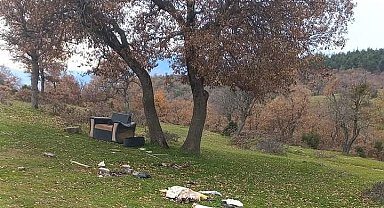 Mahalle sakinleri piknikçilerden dertli