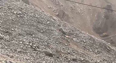 Malatya'da yaban keçileri sürü halinde görüntülendi