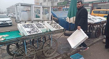 Malazgirt'te balık bolluğu yaşanıyor