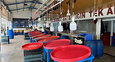Marmara'da hava bozdu, balık fiyatları fırladı