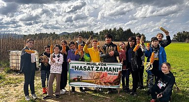 Marmarisli öğrencilerden 'Hasat zamanı 'projesi