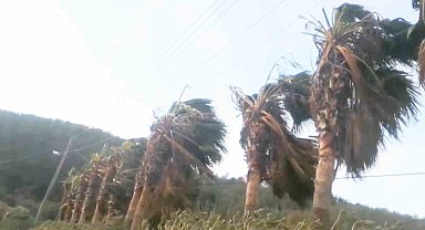 Meteoroloji Muğla için önce yağış, ardından fırtına uyarısı yaptı