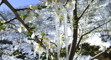 Meteoroloji uyardı, soğuk geliyor