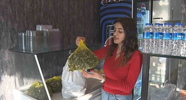 Midye hırsızlarının rahatlığı görenleri hayrete düşürdü