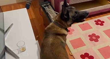 Narkotik köpeği elektrik sobadaki uyuşturucu böyle buldu