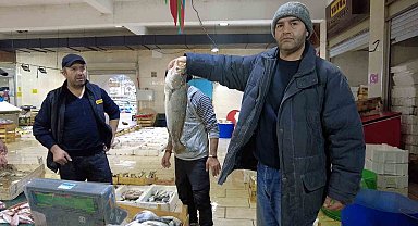 Ocak ayında tezgahlarda levrek bereketi