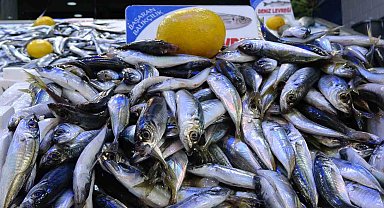 Olumsuz hava şartları sonrası avlanma azaldı, balık fiyatları 2'ye katladı
