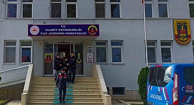 Ordu'da 100 bin TL'lik fındık çalan şüpheli yakalandı