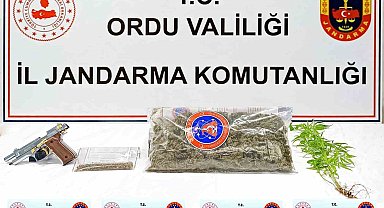 Ordu'da uyuşturucu operasyonu: 1 gözaltı