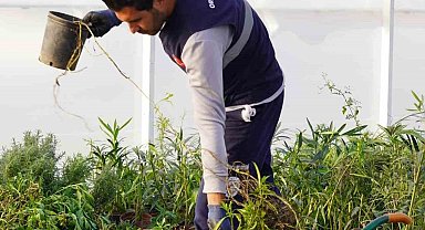 Ortaca Belediyesi kendi çiçeğini üretecek