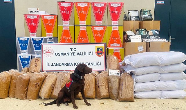 Osmaniye'de 487 kilo kaçak tütün ele geçirildi