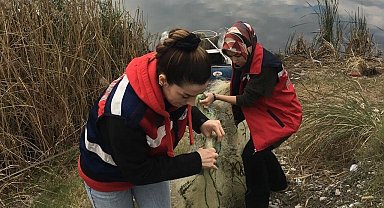 Osmaniye'de balık denetimi yapıldı