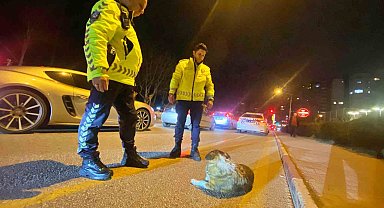 Polisin içleri ısıtan sokak köpeği nöbeti
