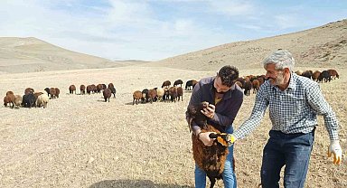 "Köyümde Yaşamak İçin Bir Sürü Nedenim Var" projesi yeniden başladı
