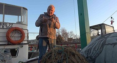 Rotayı Marmara'ya çeviren balon balığı balıkçıları endişelendirdi