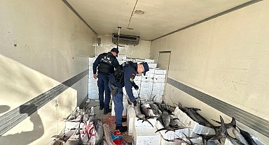 Sahil Güvenlik operasyonunda avlanması yasak mavi yüzgeçli orkinos balığı yakalandı