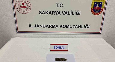 Sakarya'da jandarma ekiplerince 2 günde 12 şüpheli yakalandı