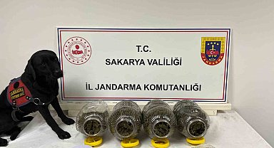 Sakarya'da jandarma suça geçit vermiyor: 6 tutuklama
