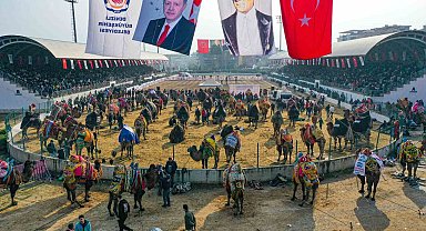 Şampiyon develer Denizli arenasına çıkıyor