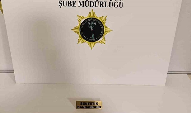 Samsun'da bonzai ele geçti: 2 gözaltı