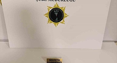 Samsun'da bonzai ele geçti: 2 gözaltı