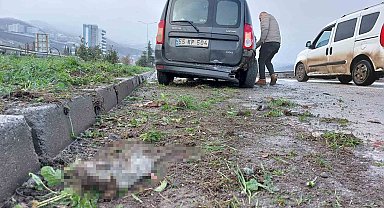 Samsun'da trafik kazası