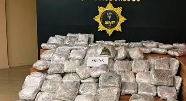 Şanlıurfa'da 85 kilogram skunk ele geçirildi