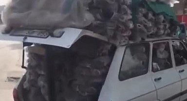 Şanlıurfa'da otomobil taşıdığı yükle kamyonetlere kafa tuttu