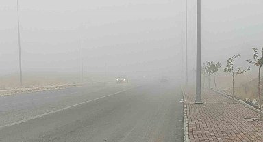 Şanlıurfa'da yoğun sis etkili oluyor