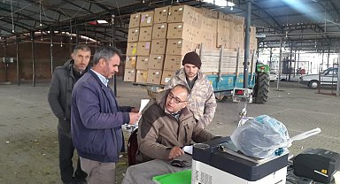 Sarıgöl'de tütün alımlarına başlandı