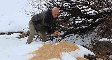 Siirt'te kar altındaki yaban hayvanlarına yem bırakıldı