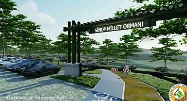 Sinop Millet Ormanı bu yıl tamamlanacak