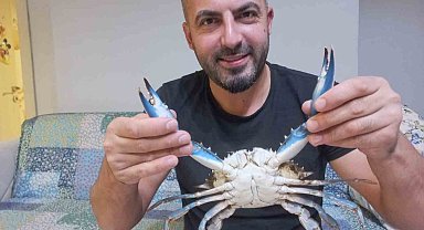 Sinop'ta amatör balıkçının ağına nadir görülen mavi yengeç takıldı