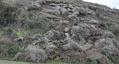 Sinop'ta korkutan heyelan