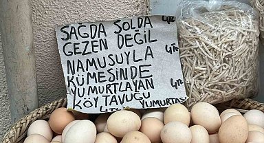 Sinoplu manavdan yumurta esprisi