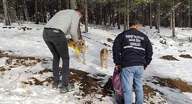 Sokak hayvanları için kar yağışı alan bölgelere yem desteği yapıldı
