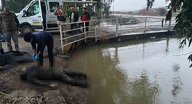 Sulama kanalında erkek cesedi bulundu