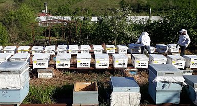 Süt ve bal üreticiliği için 1 milyon 444 bin lira destek