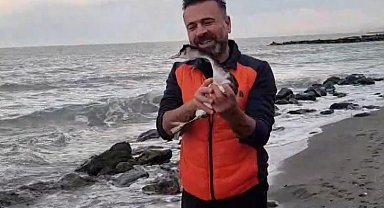 Talihsiz karabatak köpekten kaçtı, balıkçı ağlarından kaçamadı