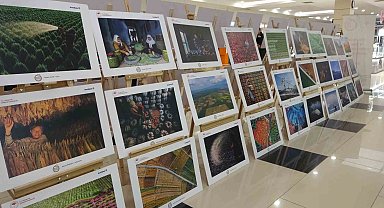 Tarım, orman ve insanı anlatan fotoğraflar Uşaklılarla buluştu