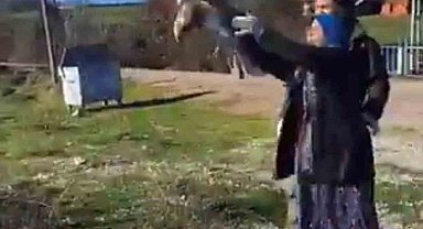 Tedavisi tamamlanan şahin yeniden doğaya salındı