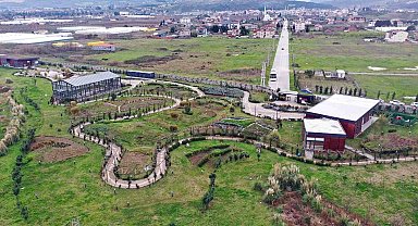 Tıbbı Aromatik Bitkiler Bahçesi'nde ıtır hasadı başladı