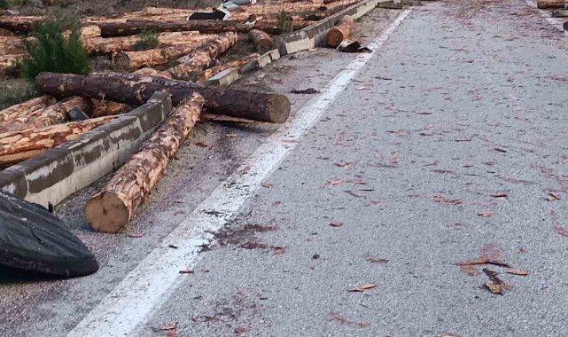 Tomruk yüklü kamyon kaza yaptı: 1 ölü