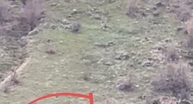 Tunceli'de kaçak avlanan şahıs suçüstü yakalandı