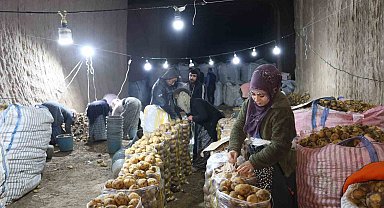 Türkiye'nin patates ihtiyacı Kapadokya'daki depolardan karşılanıyor