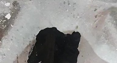 Tuvalet deliğine düşen kediyi itfaiye kurtardı