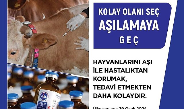Uşak Tarım ve Orman Müdürlüğü'nden şap aşısı uyarısı