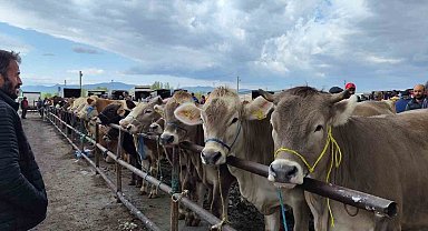 Uzmanı uyardı, o hastalık ağızda oluşan lezyonlarla kendini gösteriyor